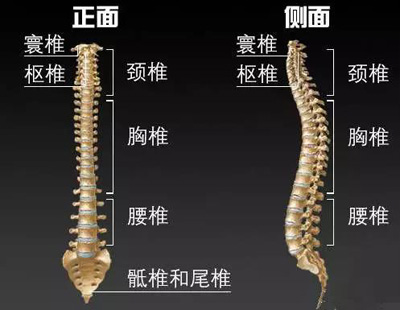 微信图片_20181107100013.jpg