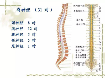 微信图片_20181107100021.jpg