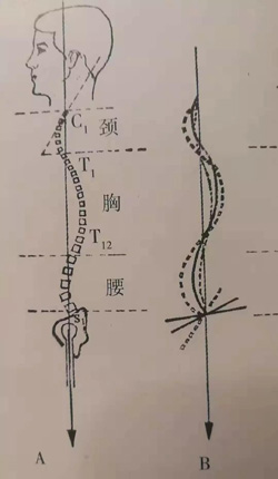 微信图片_20181107100023.jpg