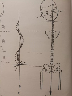 微信图片_20181107100026.jpg