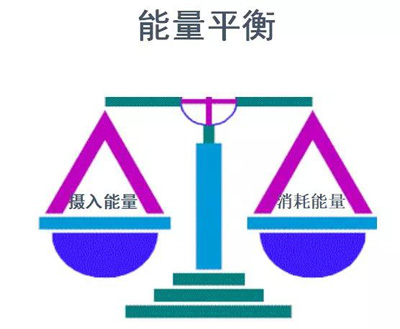 特色专业班预告｜当你的会员问怎样才能减肥时，如何回答才是正确的？